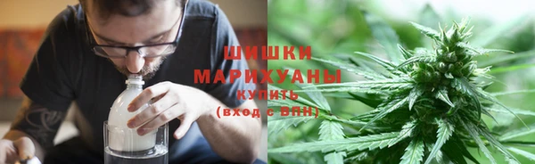 бошки Ладушкин
