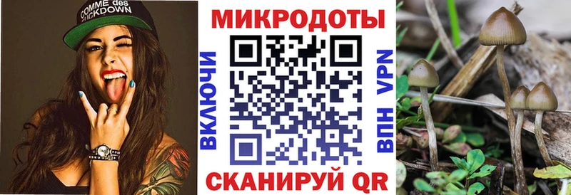 Галлюциногенные грибы MAGIC MUSHROOMS Купить Чухлома